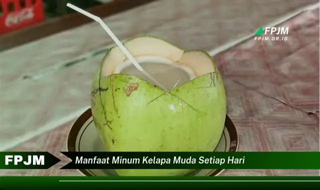 manfaat minum kelapa muda setiap hari