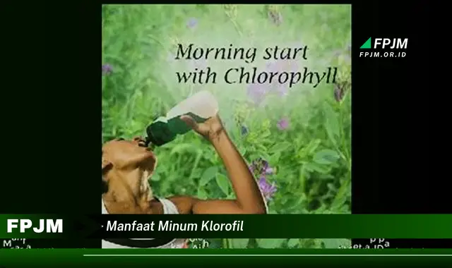 manfaat minum klorofil