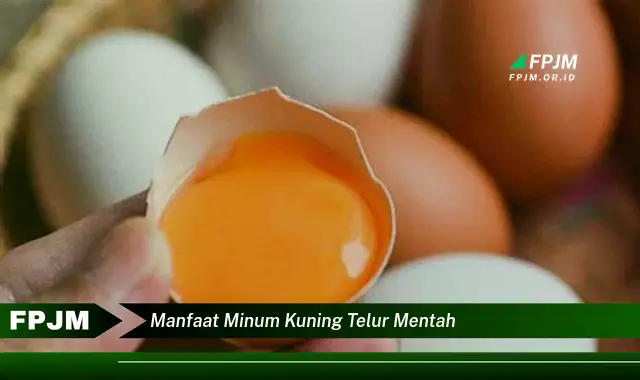 manfaat minum kuning telur mentah