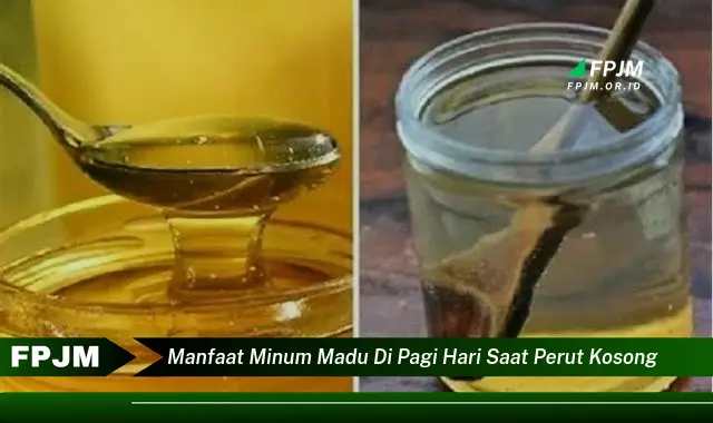 manfaat minum madu di pagi hari saat perut kosong