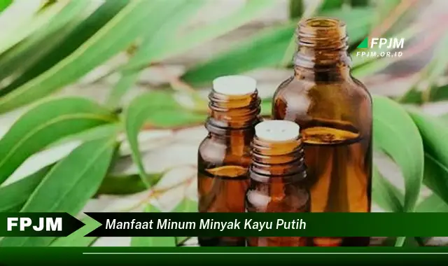 manfaat minum minyak kayu putih