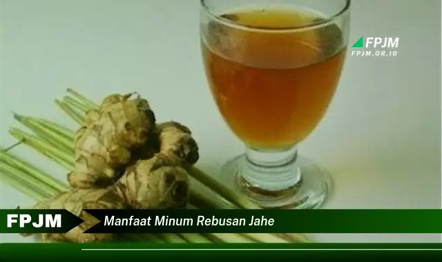 manfaat minum rebusan jahe