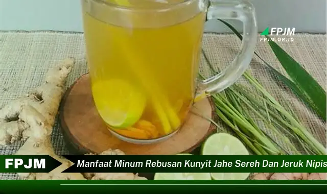 manfaat minum rebusan kunyit jahe sereh dan jeruk nipis