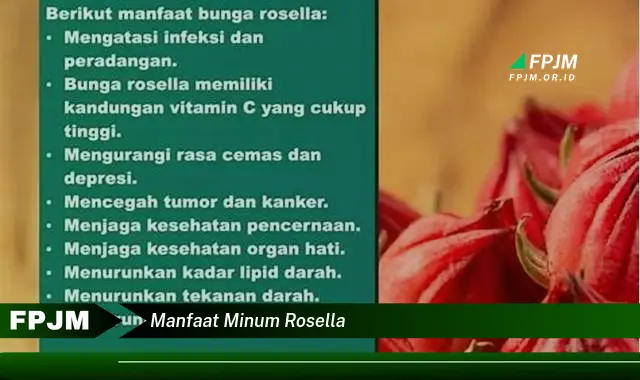 manfaat minum rosella