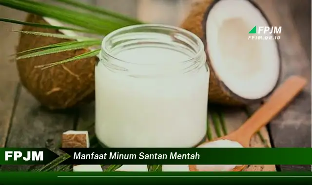 manfaat minum santan mentah