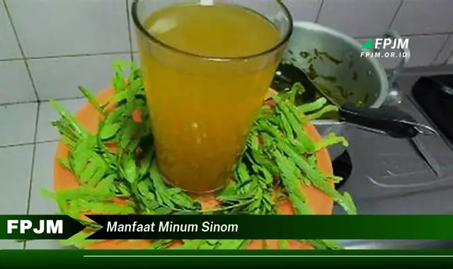 manfaat minum sinom