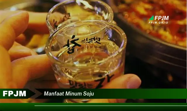 manfaat minum soju