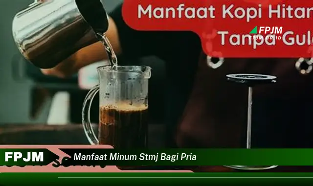 manfaat minum stmj bagi pria