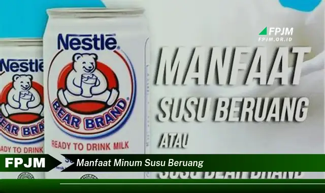 manfaat minum susu beruang