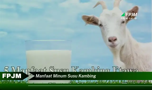 manfaat minum susu kambing