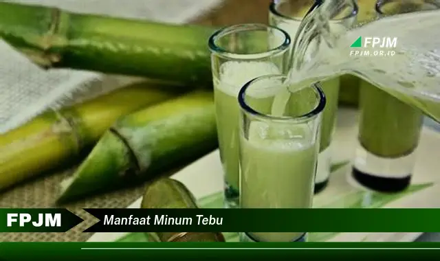 manfaat minum tebu