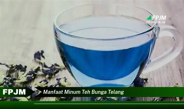 manfaat minum teh bunga telang