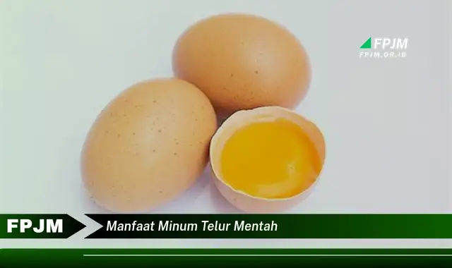 manfaat minum telur mentah