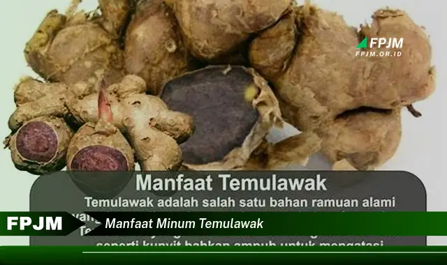 manfaat minum temulawak