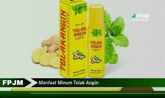 manfaat minum tolak angin