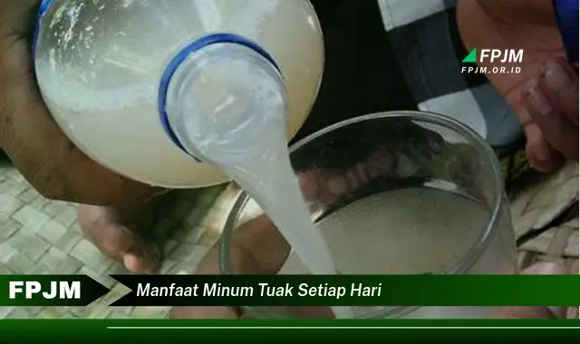 manfaat minum tuak setiap hari