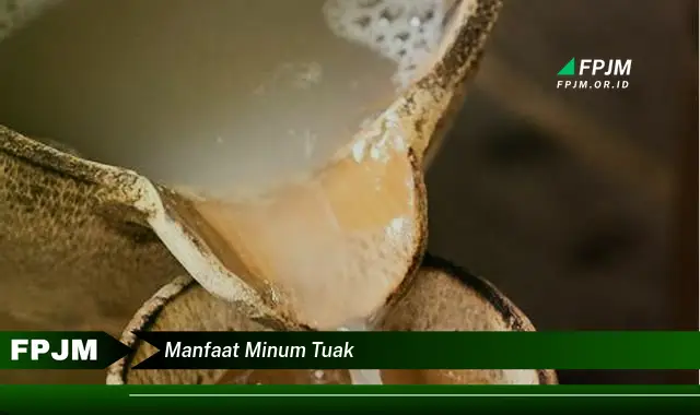 manfaat minum tuak