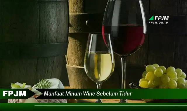 manfaat minum wine sebelum tidur