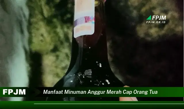 manfaat minuman anggur merah cap orang tua