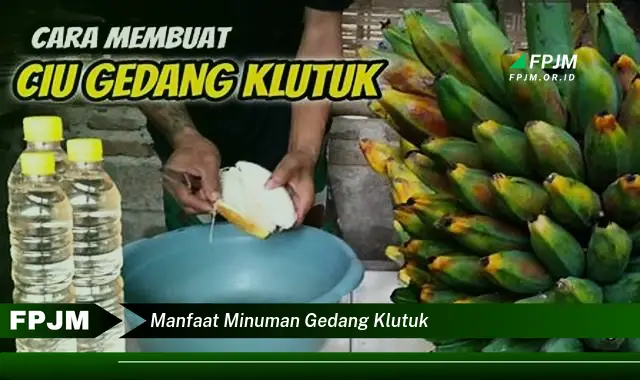 manfaat minuman gedang klutuk