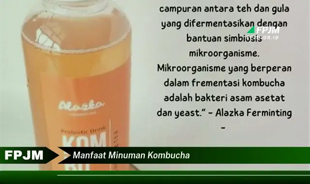 manfaat minuman kombucha