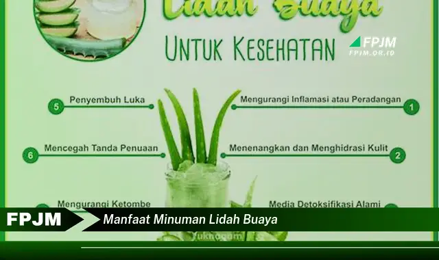 manfaat minuman lidah buaya