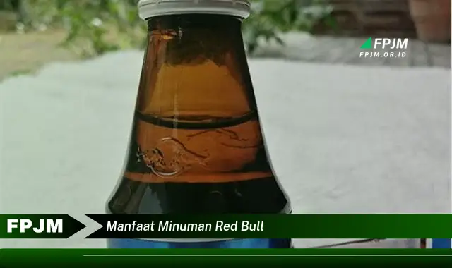 manfaat minuman red bull