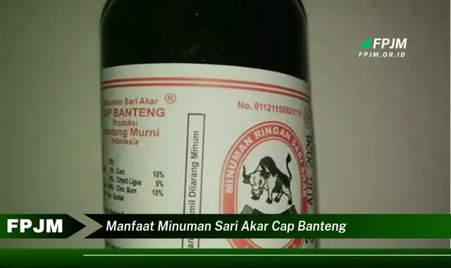 manfaat minuman sari akar cap banteng