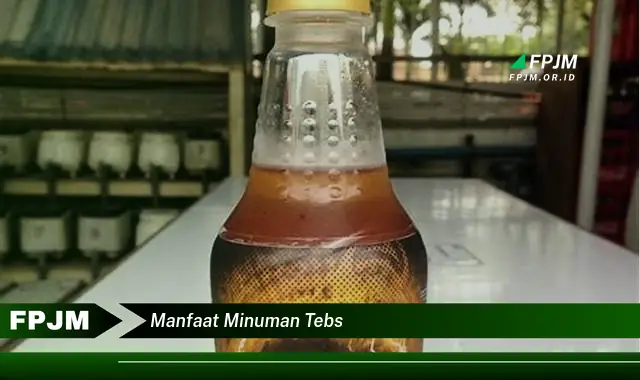 manfaat minuman tebs