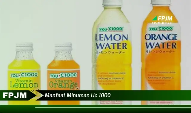 Temukan 6 Manfaat Minuman UC 1000 yang Wajib Kamu Ketahui - Discover NEWS