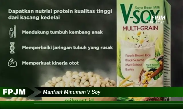 manfaat minuman v soy