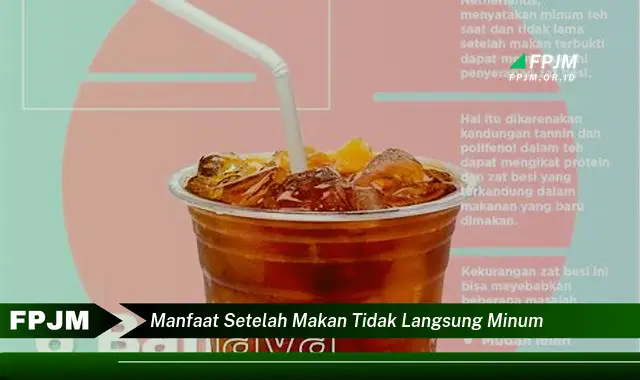 manfaat setelah makan tidak langsung minum