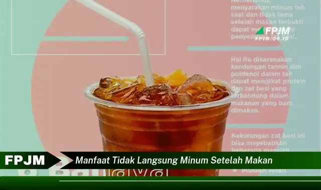 manfaat tidak langsung minum setelah makan