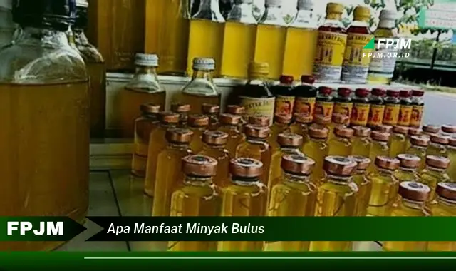 apa manfaat minyak bulus