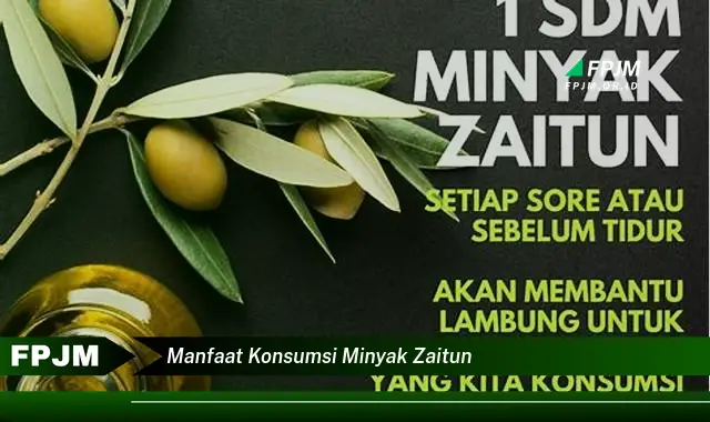 manfaat konsumsi minyak zaitun