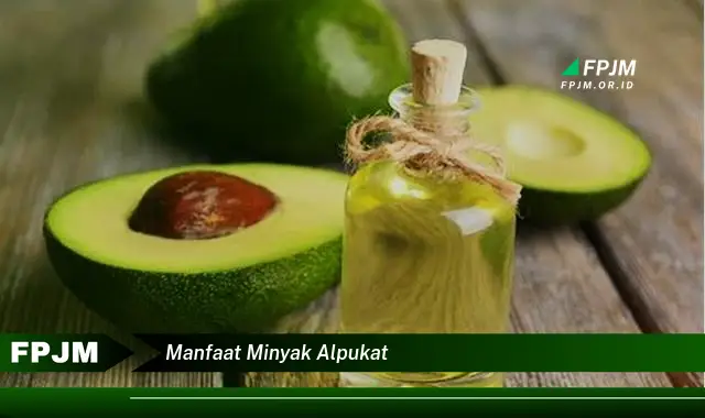 manfaat minyak alpukat