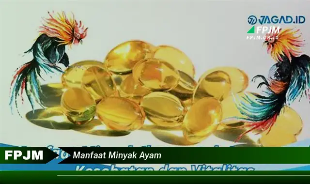 manfaat minyak ayam