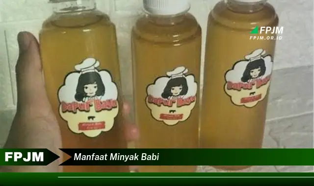 manfaat minyak babi