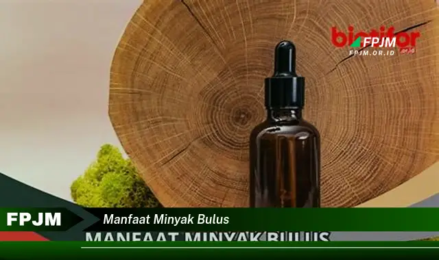 manfaat minyak bulus