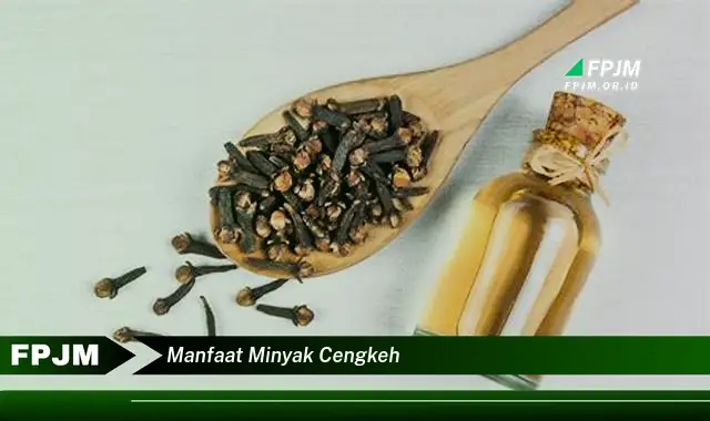 manfaat minyak cengkeh