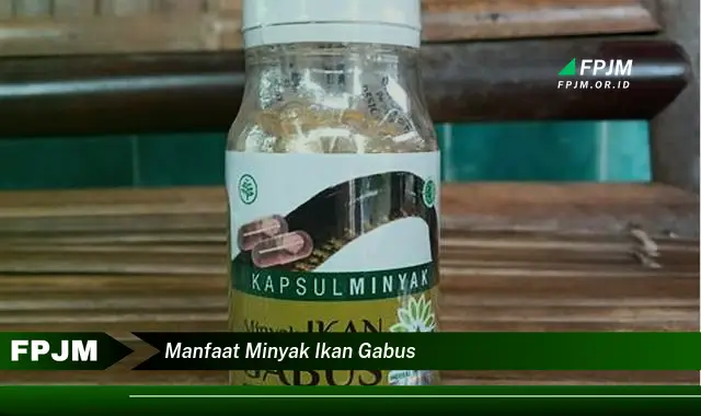 manfaat minyak ikan gabus