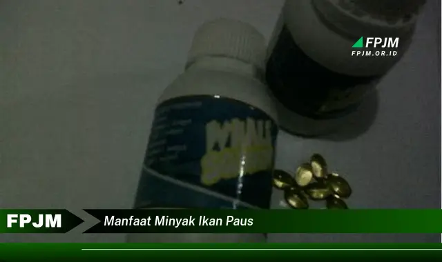 manfaat minyak ikan paus