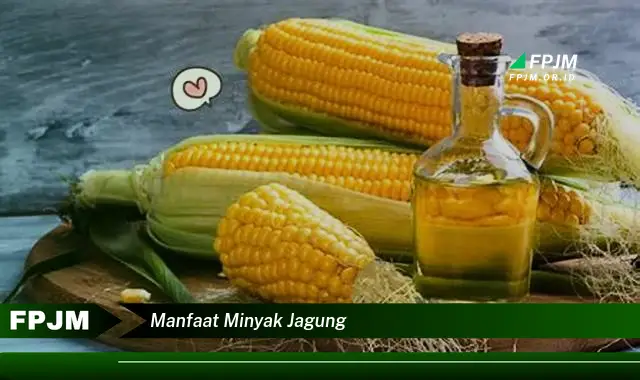 manfaat minyak jagung