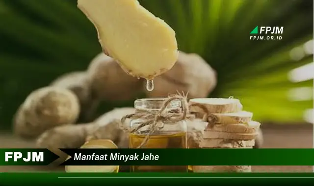 manfaat minyak jahe