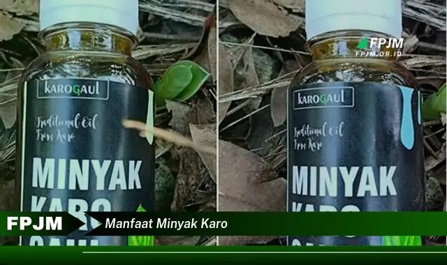 manfaat minyak karo