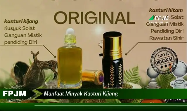 manfaat minyak kasturi kijang