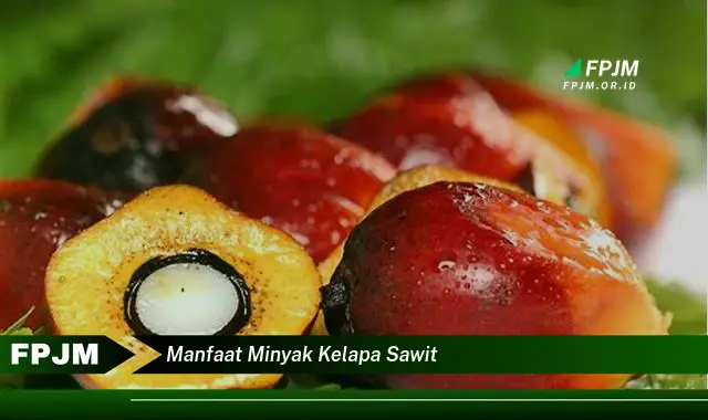 manfaat minyak kelapa sawit