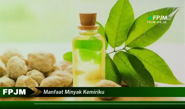 manfaat minyak kemiriku