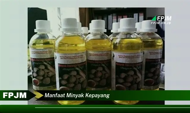 manfaat minyak kepayang