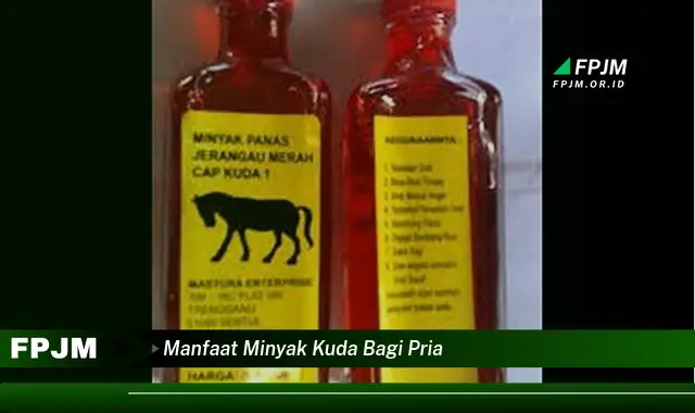 manfaat minyak kuda bagi pria